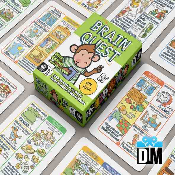 Mainan Kartu Brain Quest